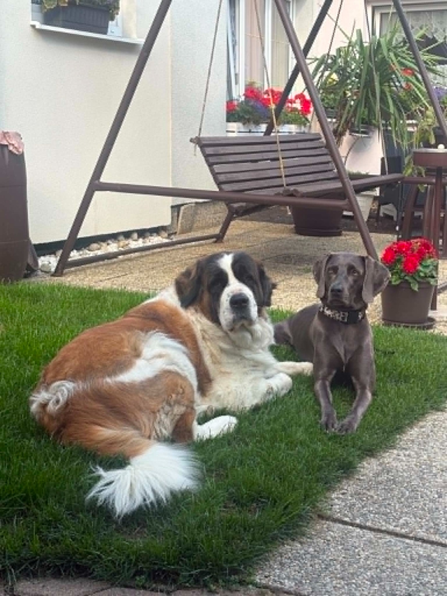 BELLA a KIRA